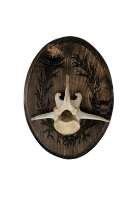 Deer Vertebra Wall Hanger with Roots of Yggdrasil