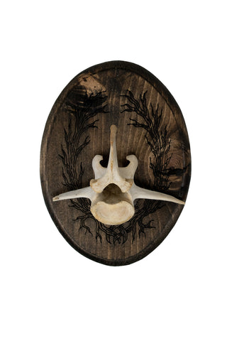 Image of Deer Vertebra Wall Hanger with Roots of Yggdrasil