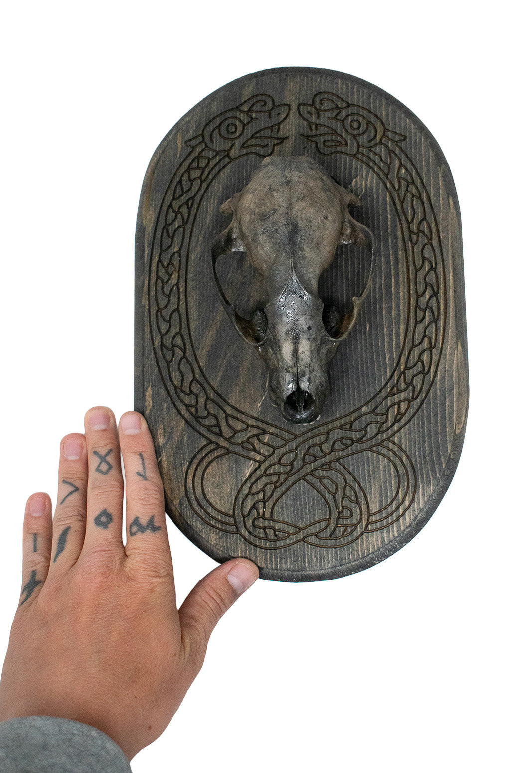 Raccoon Skull Wall Hanger with Knotwork Jörmungandr