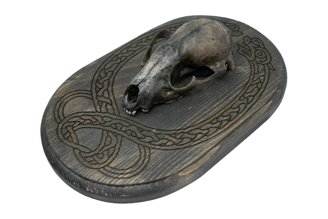 Raccoon Skull Wall Hanger with Knotwork Jörmungandr