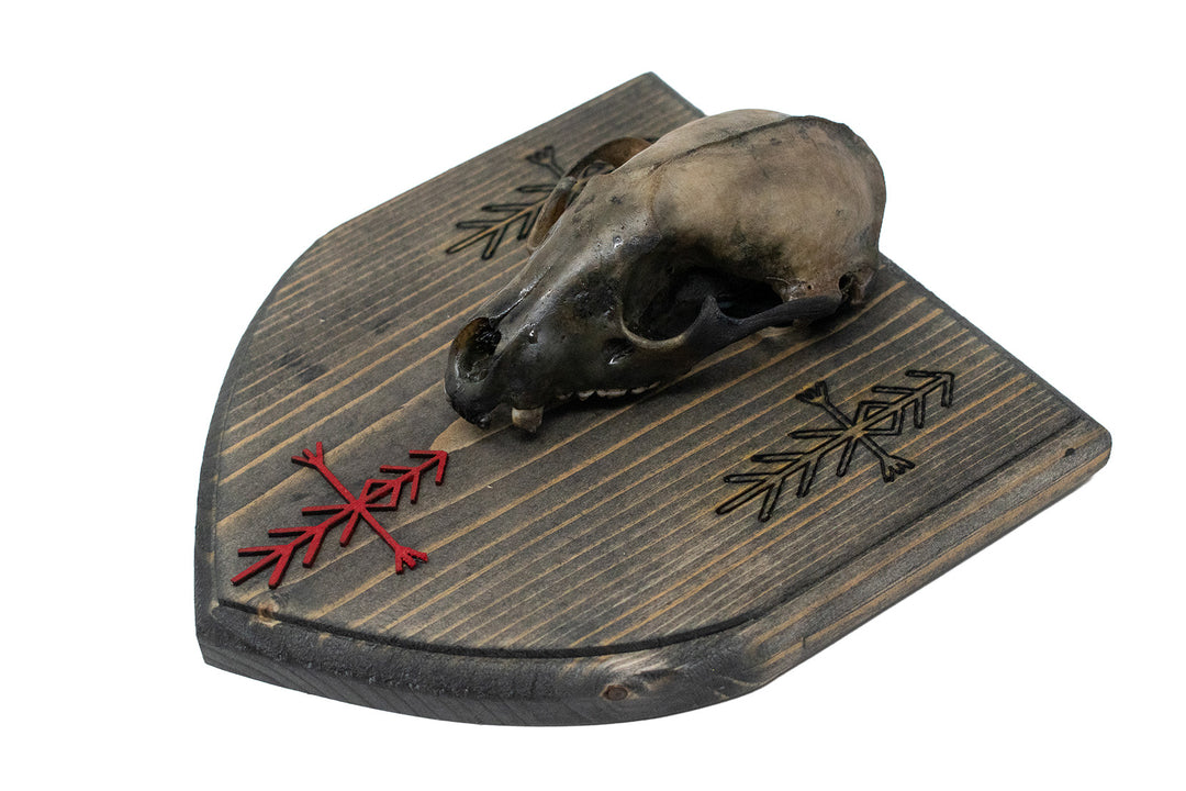 Raccoon Skull Wall Hanger with Home Protection Bindrunes