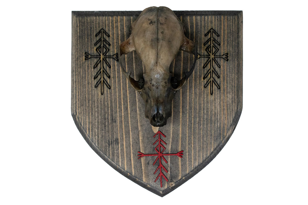 Raccoon Skull Wall Hanger with Home Protection Bindrunes