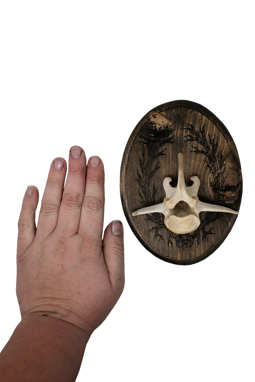 Deer Vertebra Wall Hanger with Roots of Yggdrasil