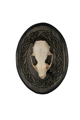 Marten Skull Wall Hanger with Norse Serpent Knotwork