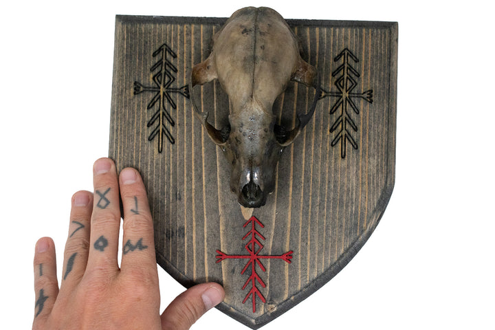 Raccoon Skull Wall Hanger with Home Protection Bindrunes