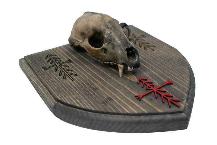 Raccoon Skull Wall Hanger with Home Protection Bindrunes