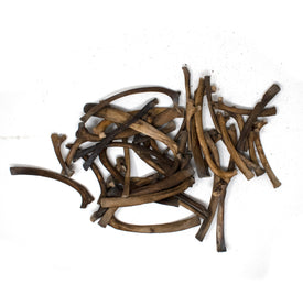 small gray wolf rib bone