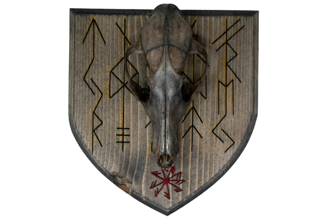 Fox Skull Wall Hanger with Norse God Bindrunes