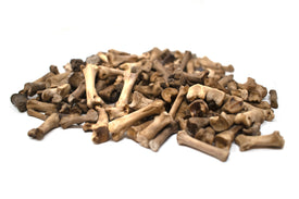 gray wolf toe and tail bones