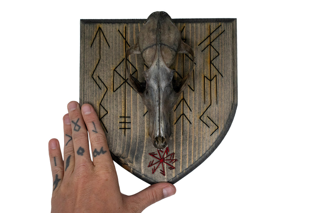 Fox Skull Wall Hanger with Norse God Bindrunes