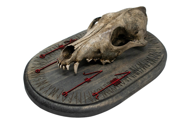 Coyote Skull Svefnþorn Wall Hanger
