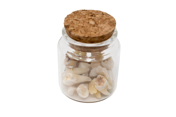 jar of human teeth
