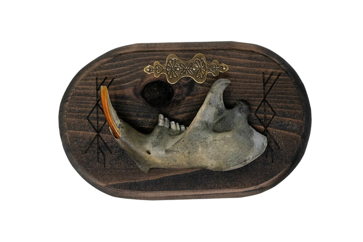 Beaver Jawbone Prosperity Bindrune Wall Hanger
