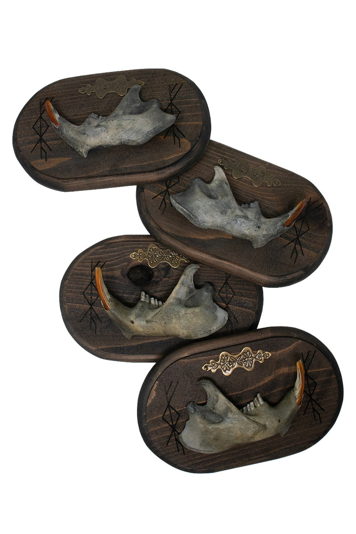Beaver Jawbone Prosperity Bindrune Wall Hanger