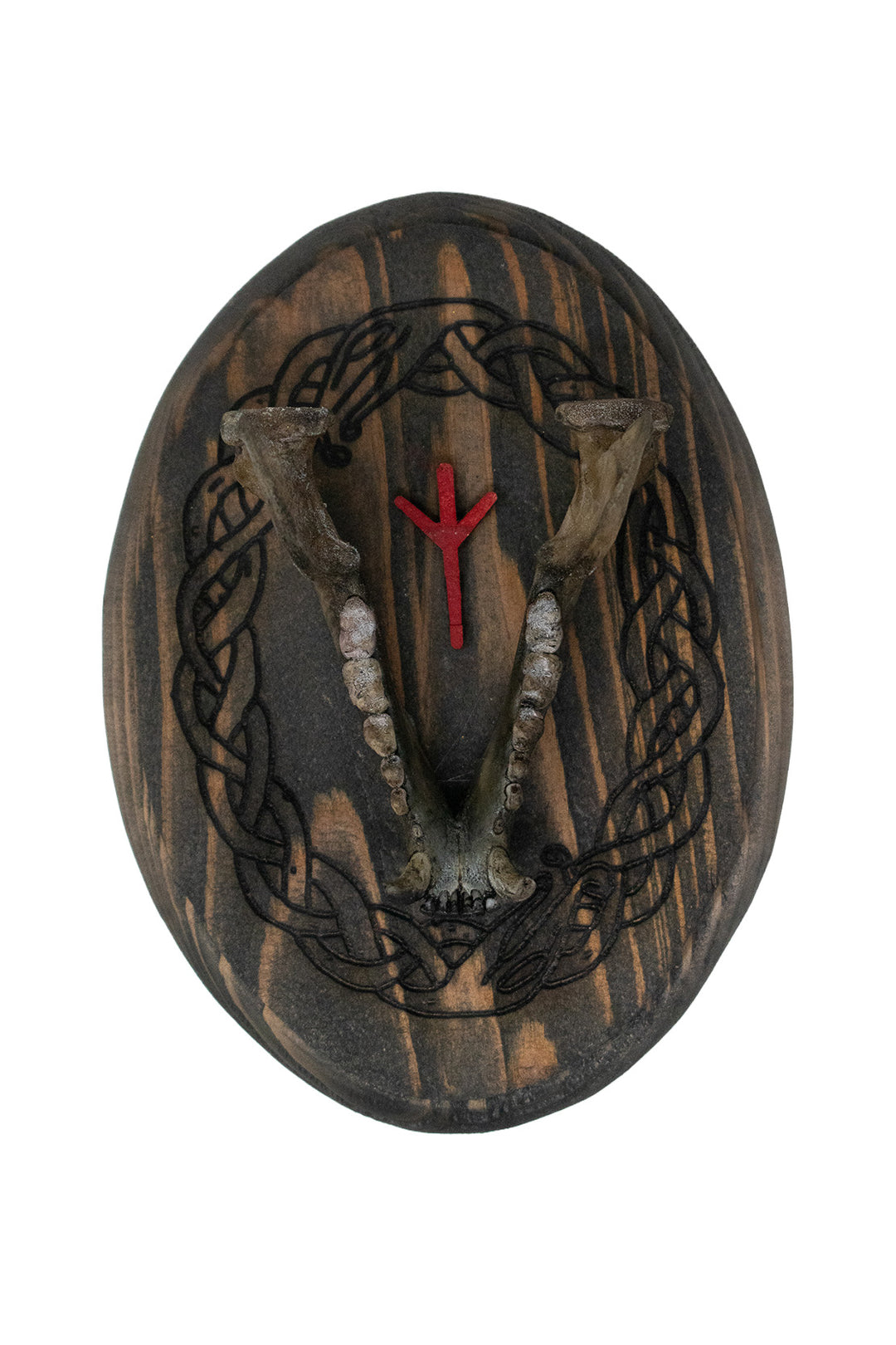 Raccoon Jawbone Algiz Wall Hanger