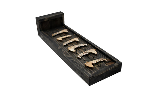 Image of marten jawbone home protection altar