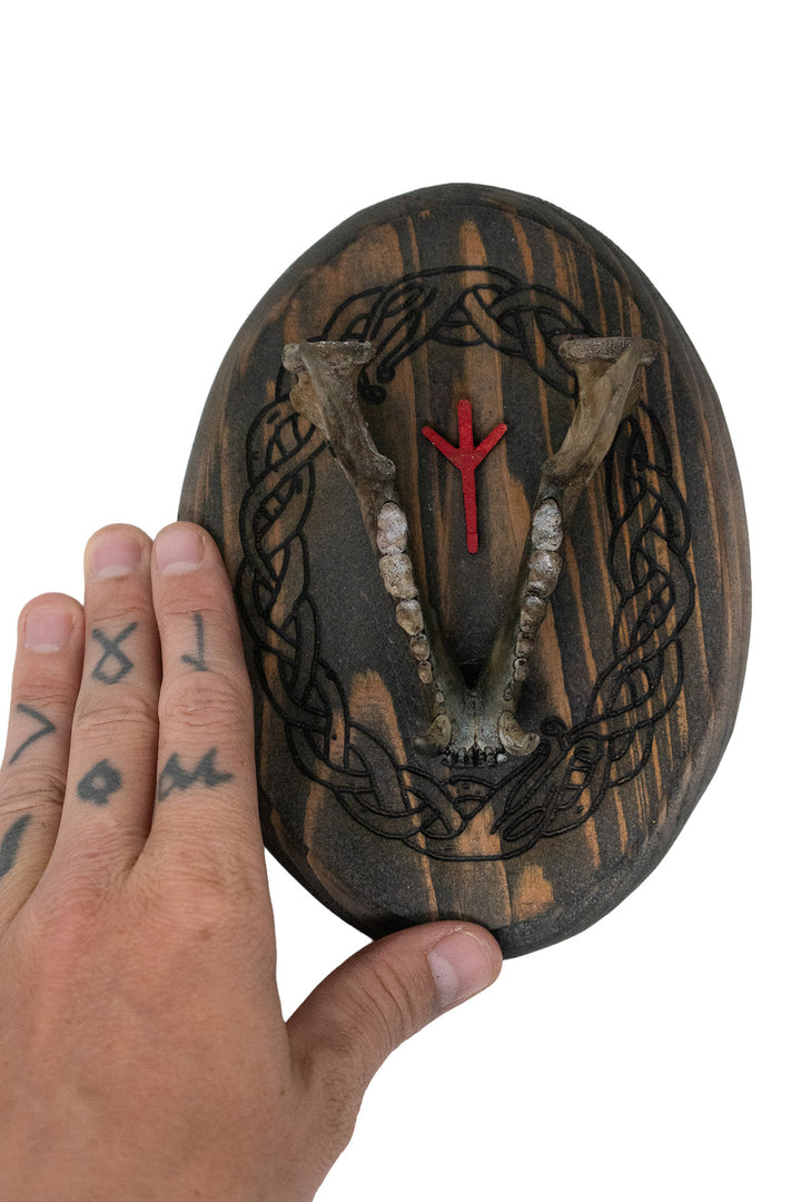 Raccoon Jawbone Algiz Wall Hanger