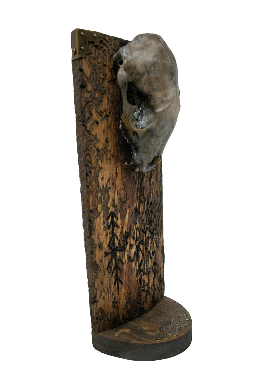 Blackened Raccoon Skull Home Protection Altar