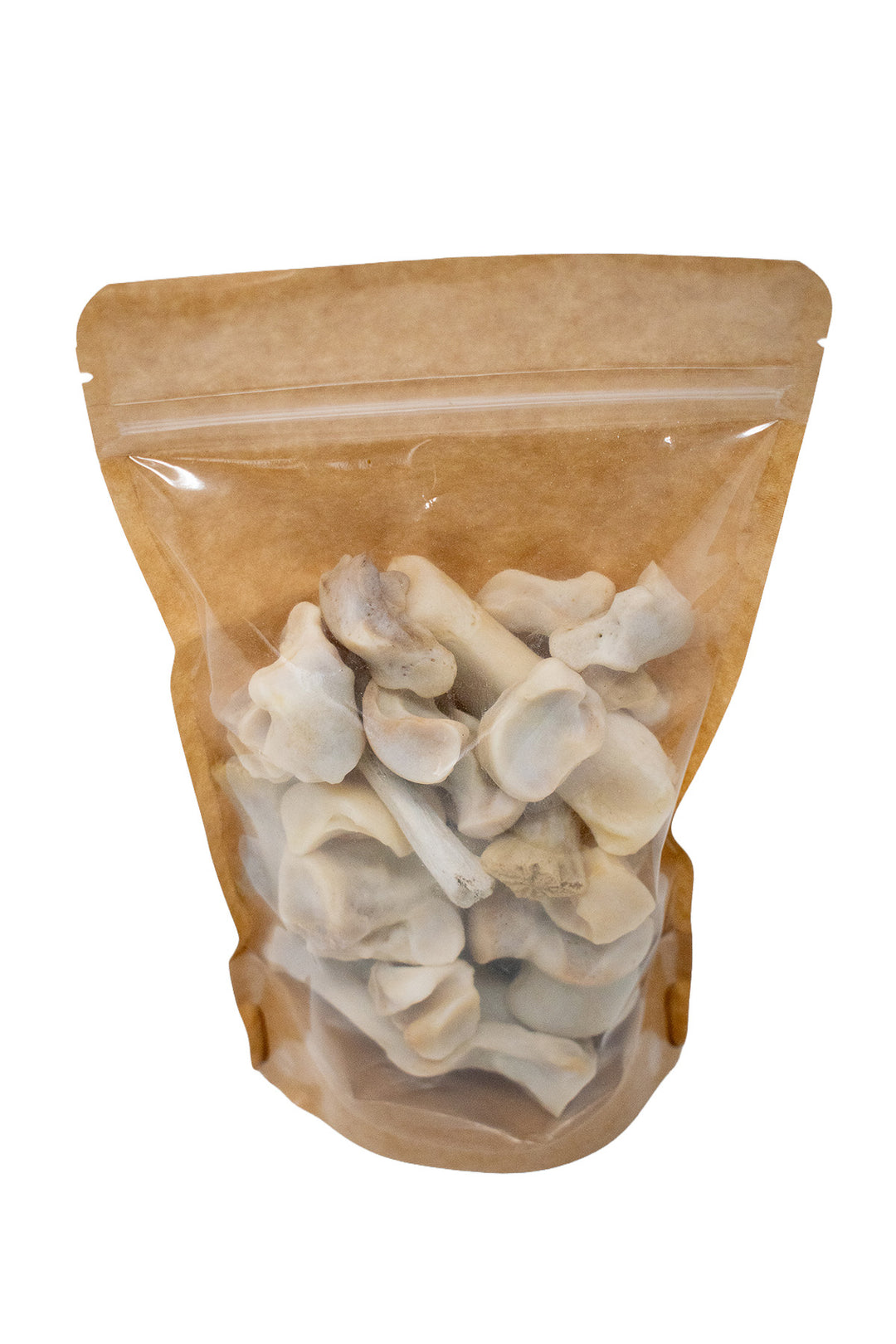 Mountain Lion Bone Assortment