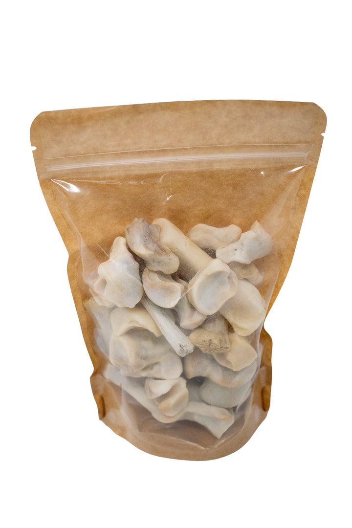 Mountain Lion Bone Assortment