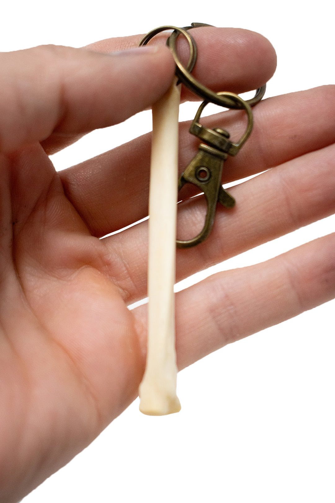 Coyote Foot Bone Keychain