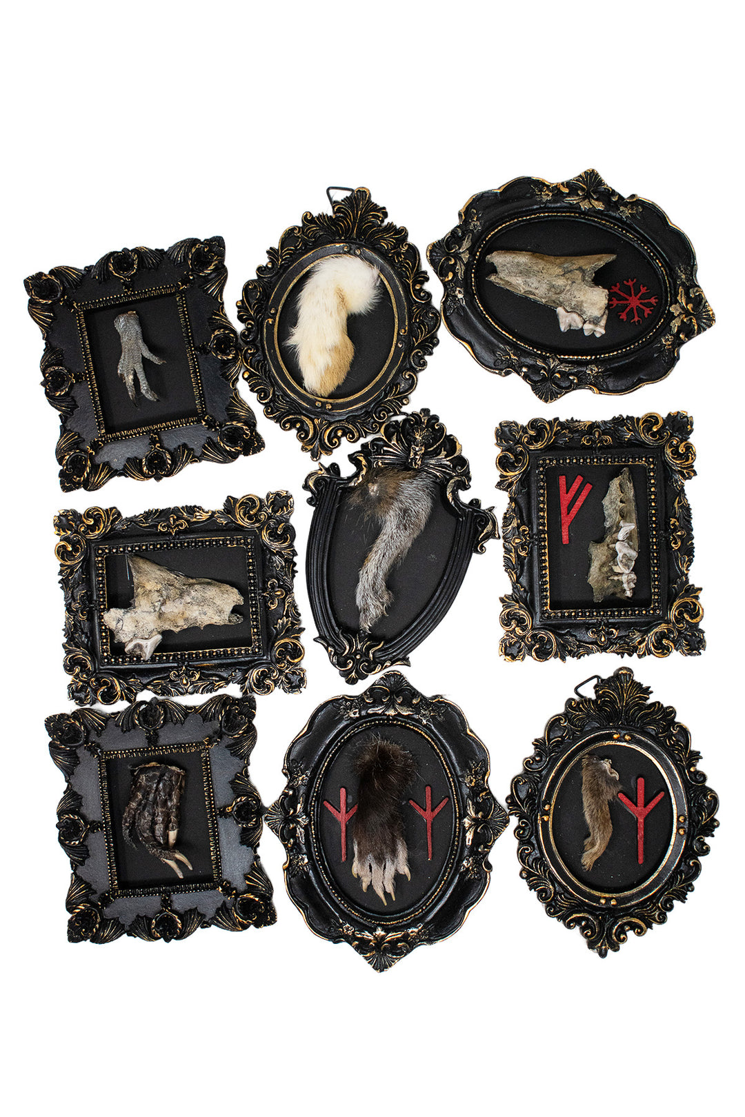 Oddities Bone & Foot Magnets