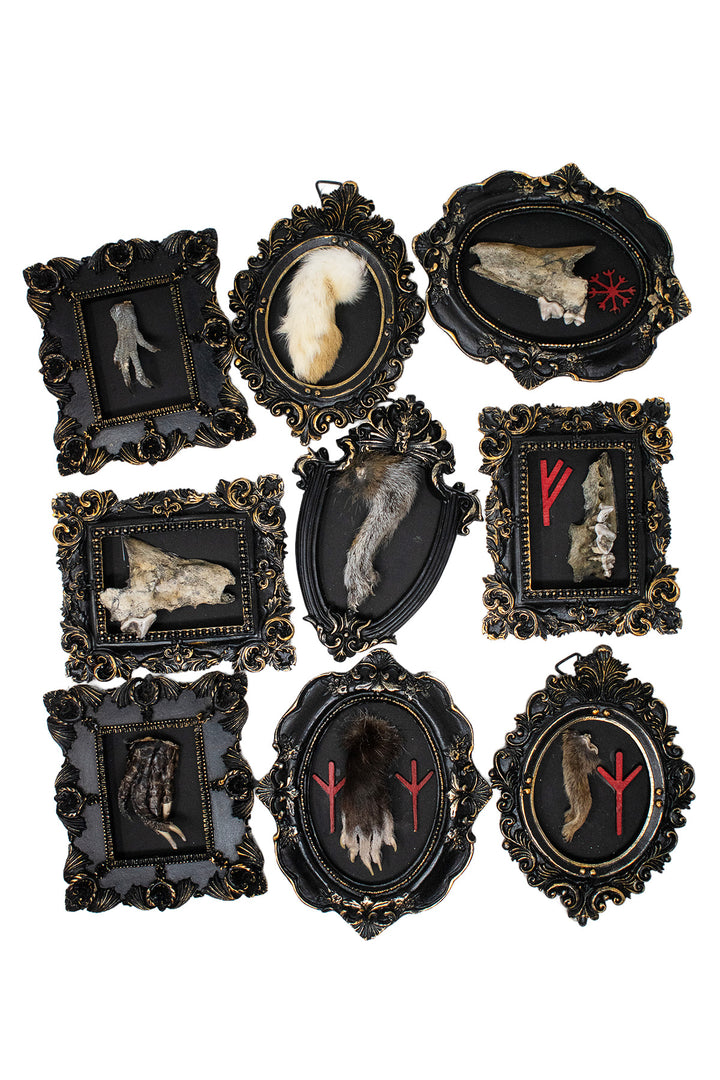 Oddities Bone & Foot Magnets