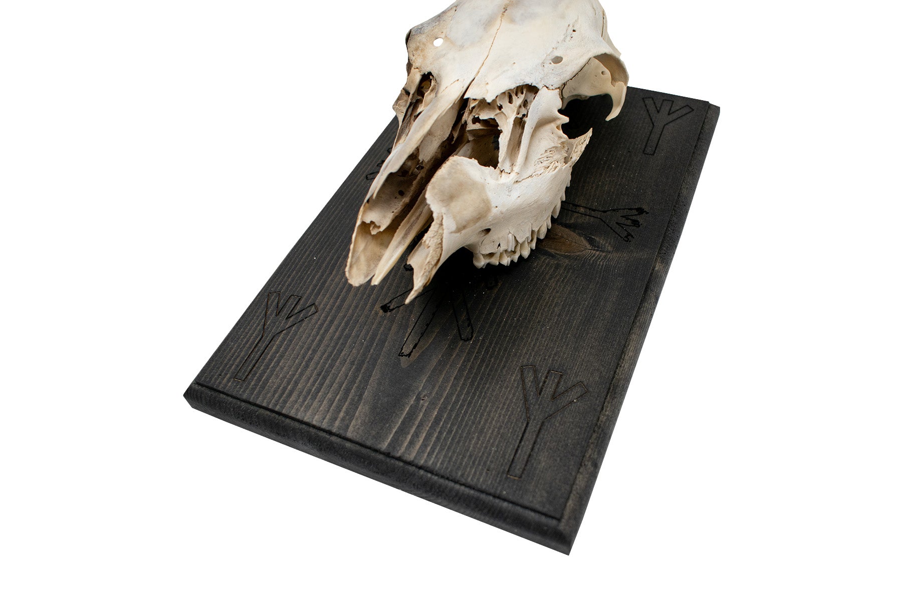 Home Protection & Algiz Deer Skull Wall Hanger
