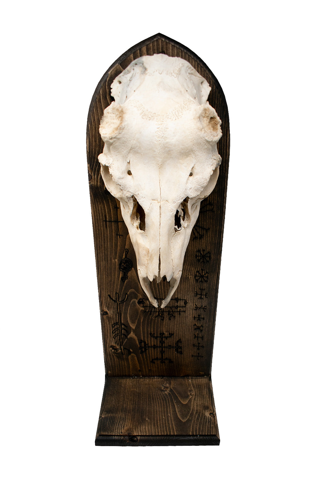 Icelandic magical stave deer skull altar