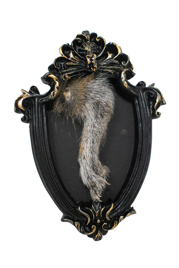 Oddities Bone & Foot Magnets