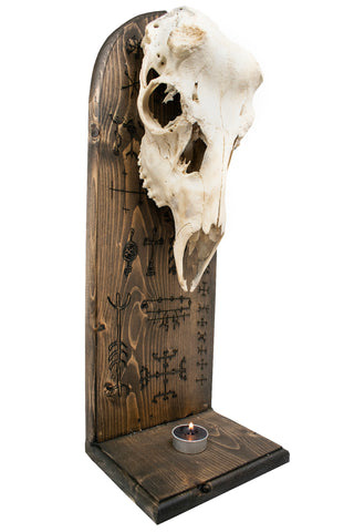 Image of Icelandic magical stave deer skull altar