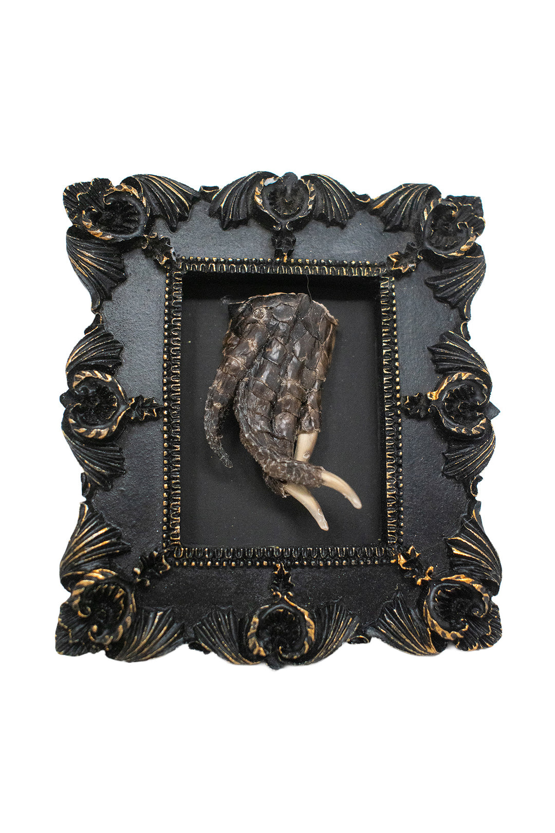 Oddities Bone & Foot Magnets