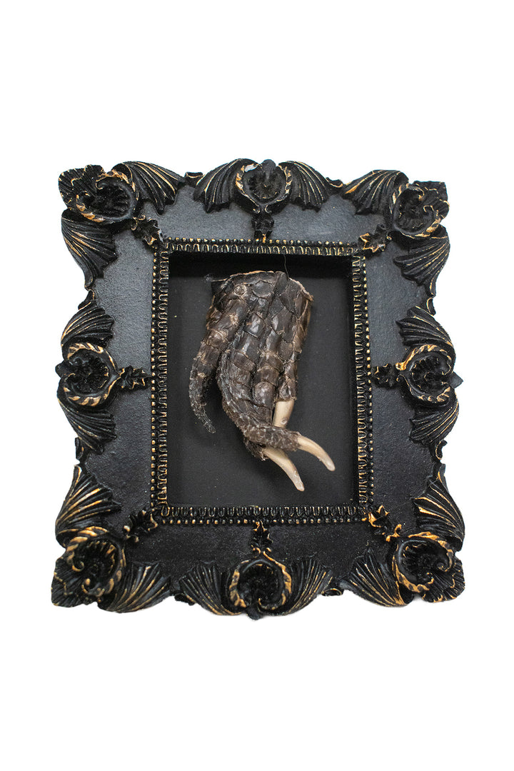 Oddities Bone & Foot Magnets