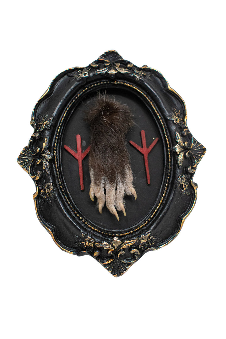Oddities Bone & Foot Magnets
