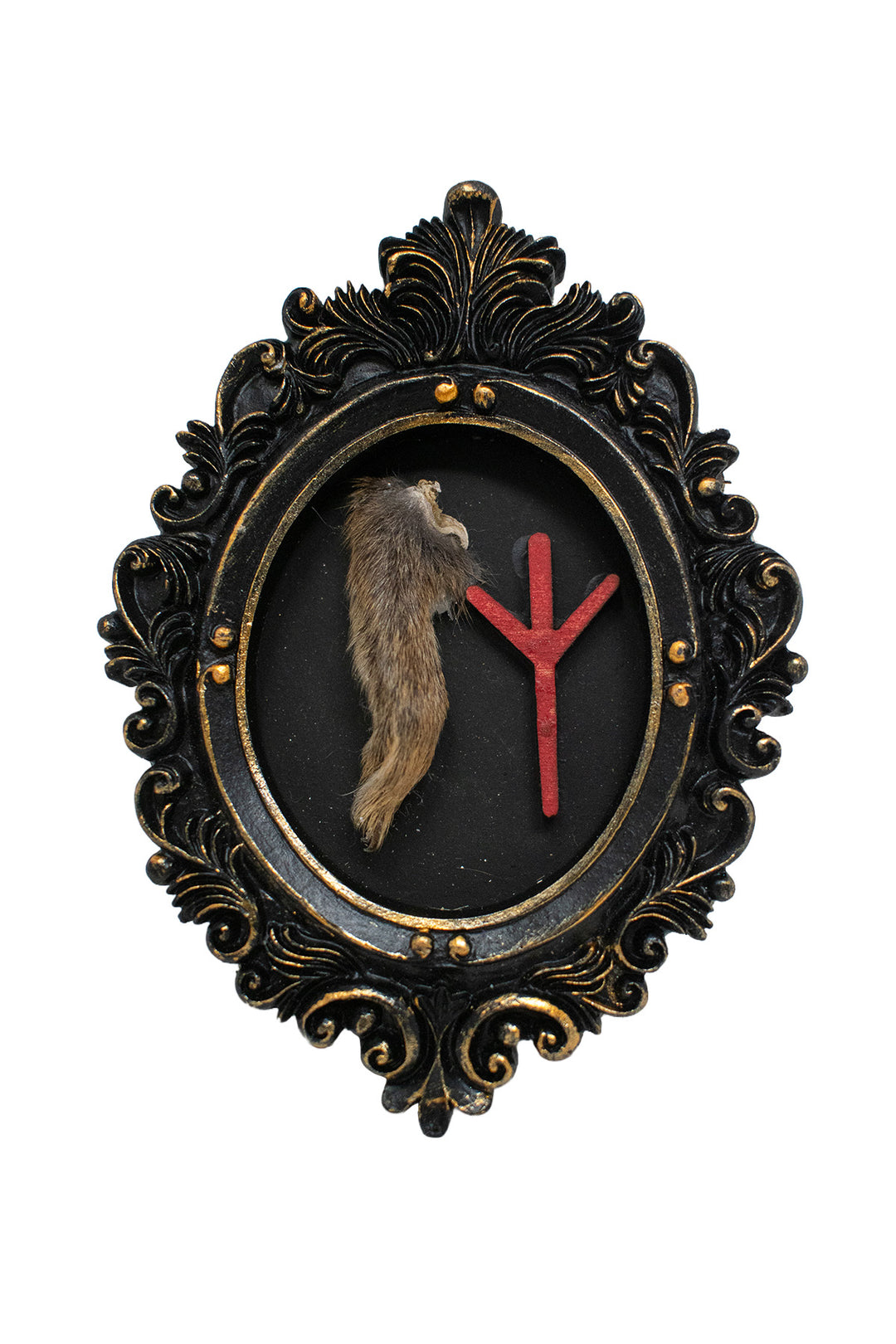 Oddities Bone & Foot Magnets
