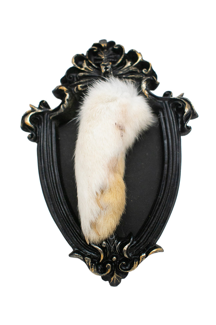 Oddities Bone & Foot Magnets