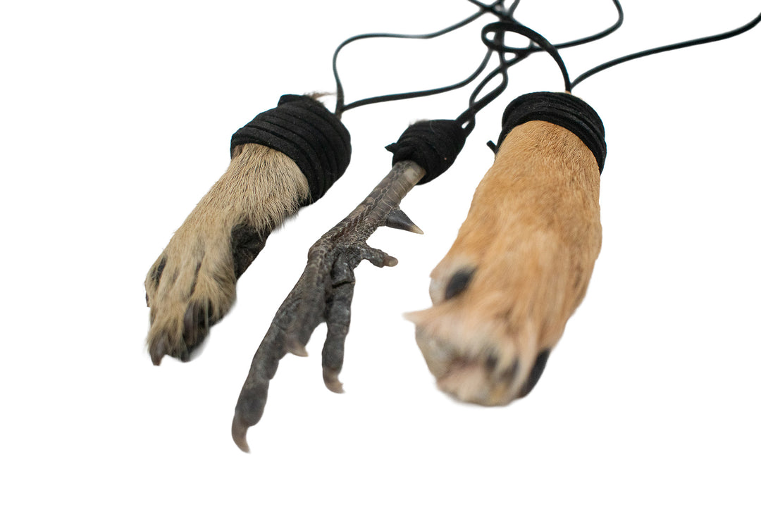 Leather Wrapped Oddities Talisman