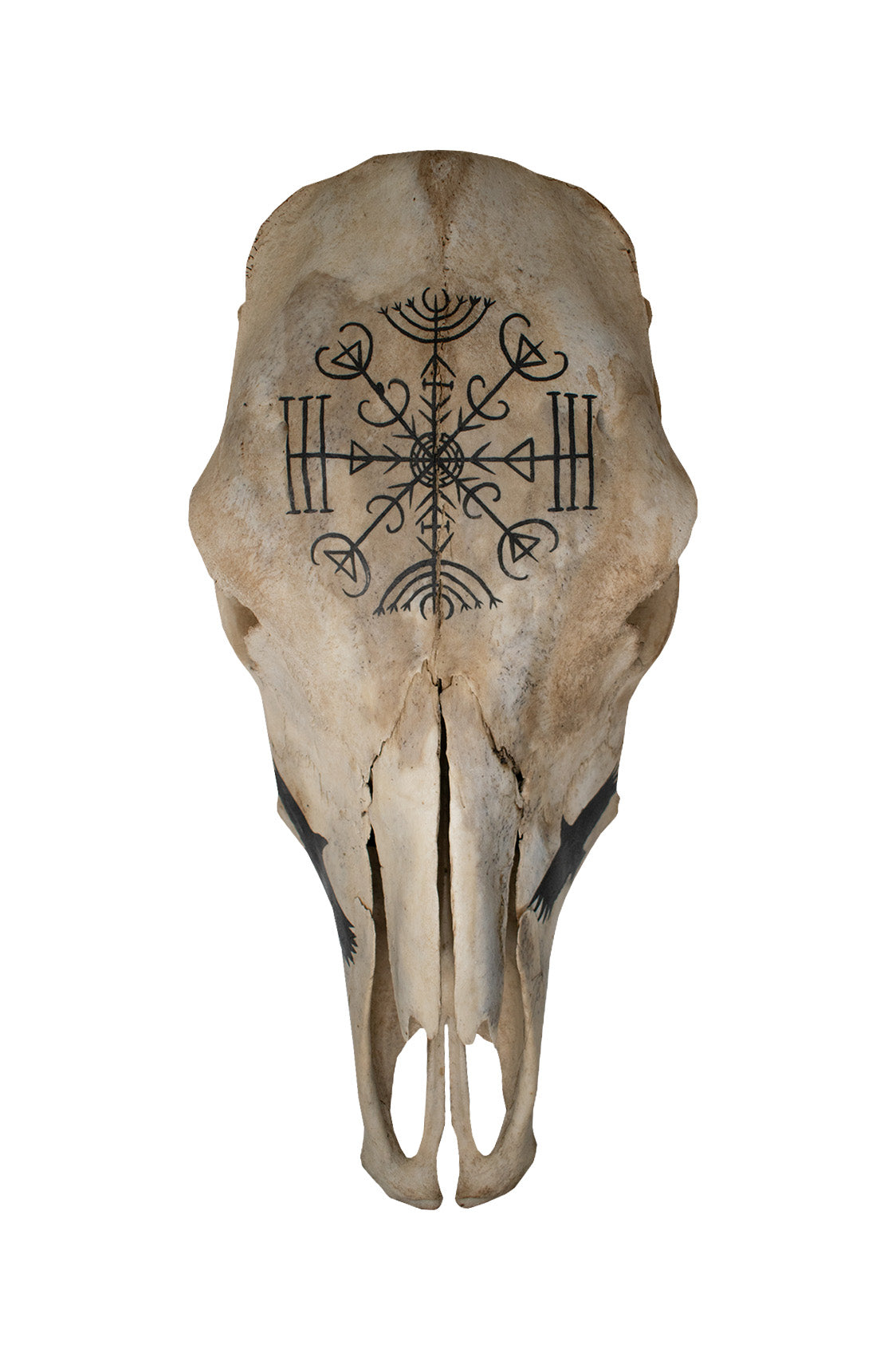 Veldismagn and Raven Cow Skull