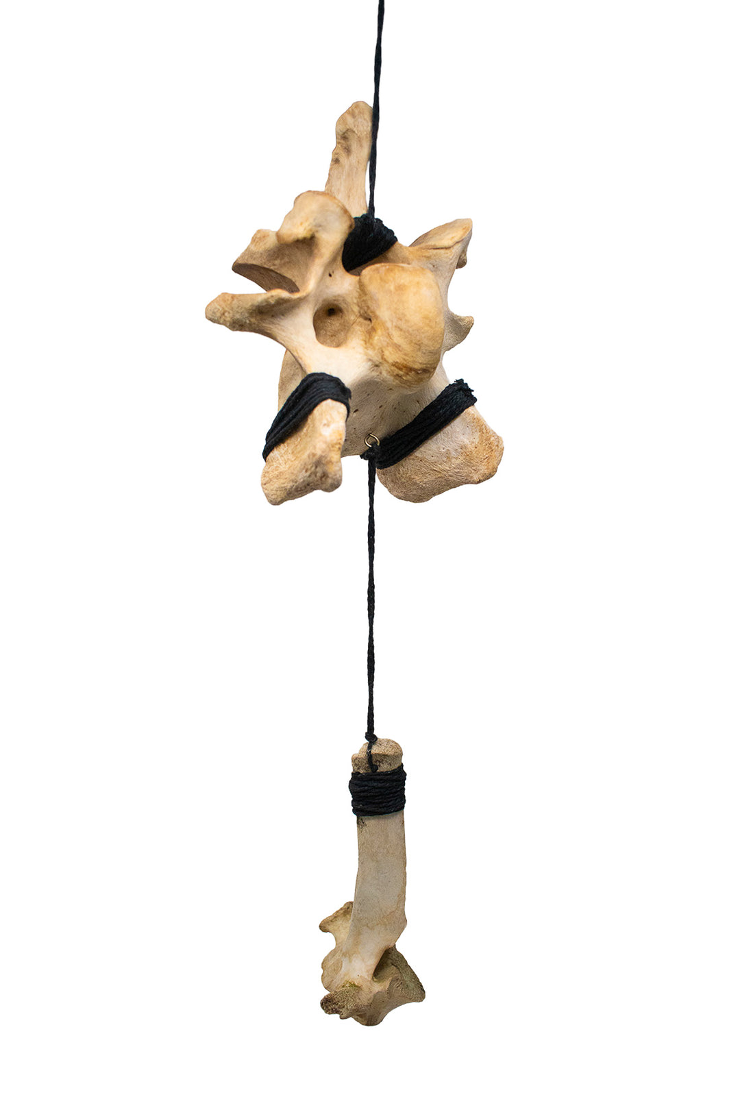 Cow & Elk Vertebra Wind Chime