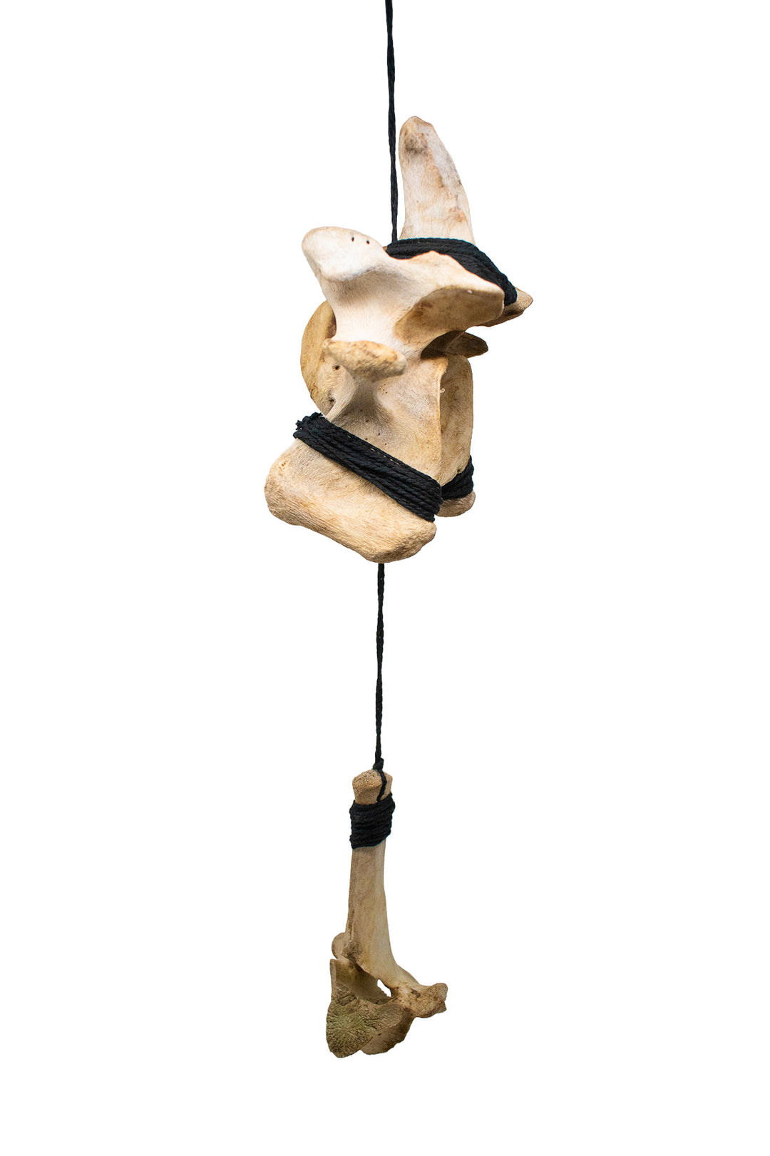Cow & Elk Vertebra Wind Chime