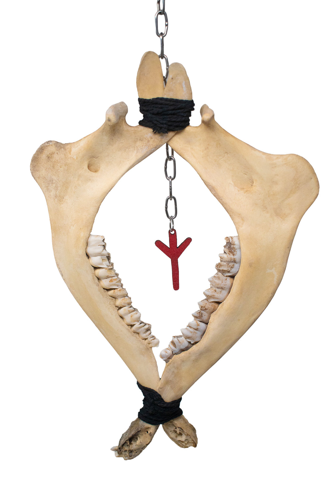 Deer Jawbone Algiz Rune Wind Chime