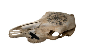 Veldismagn and Raven Cow Skull