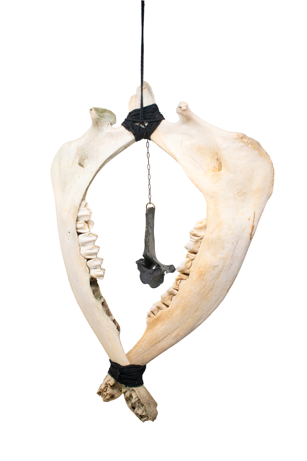 Deer Jawbone & Blackened Vertebra Wind Chime