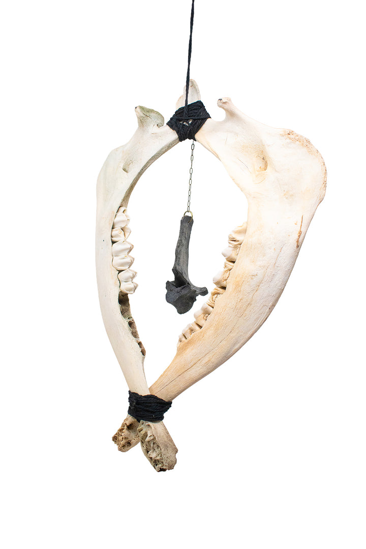 Deer Jawbone & Blackened Vertebra Wind Chime