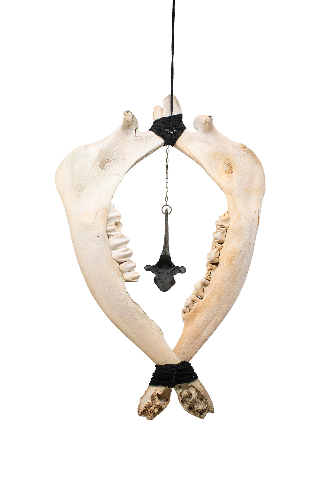Deer Jawbone & Blackened Vertebra Wind Chime