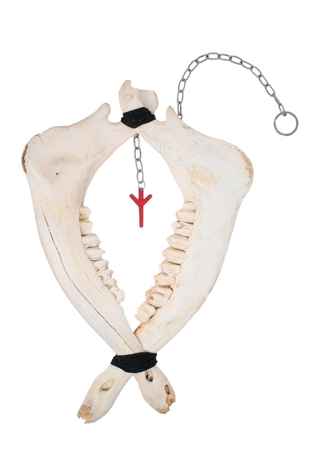 Elk Jawbone Algiz Rune Wind Chime