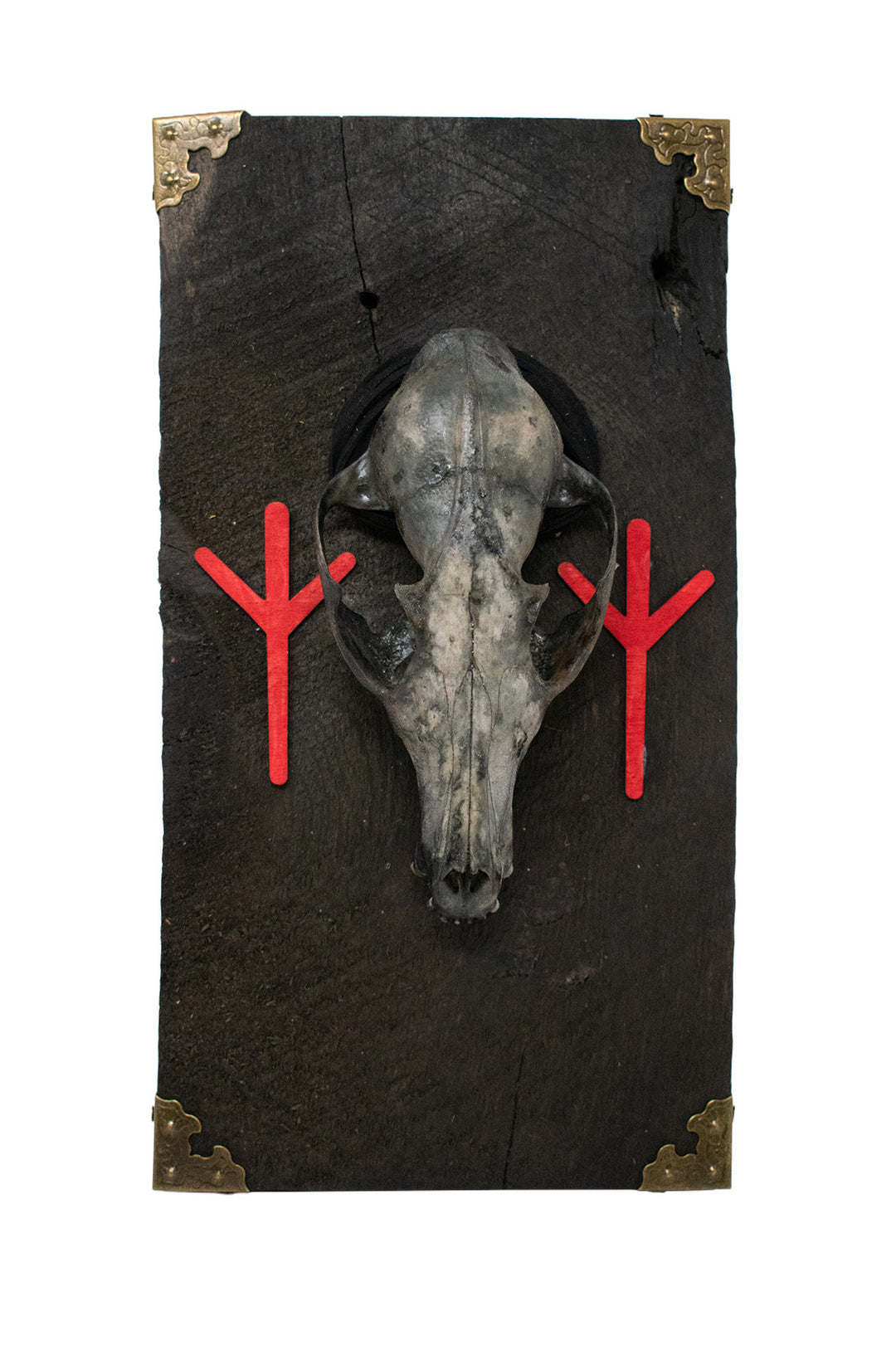 Algiz Rune Fox Skull Barn Wood Wall Hanging