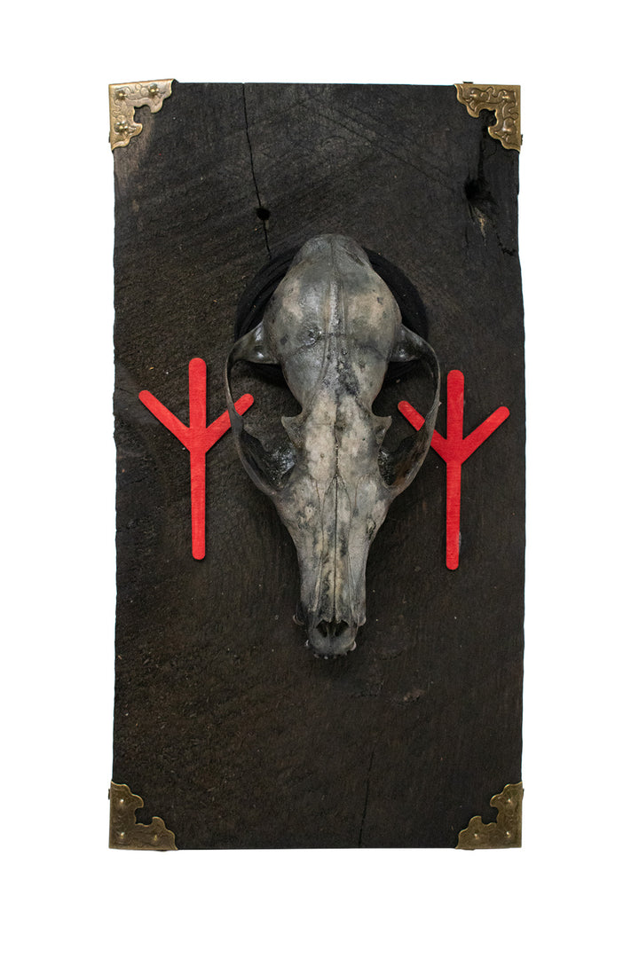 Algiz Rune Fox Skull Barn Wood Wall Hanging