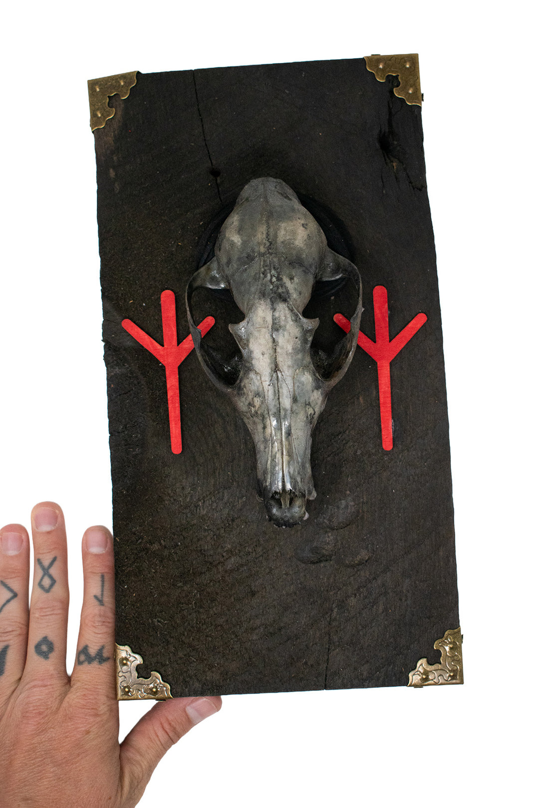 Algiz Rune Fox Skull Barn Wood Wall Hanging