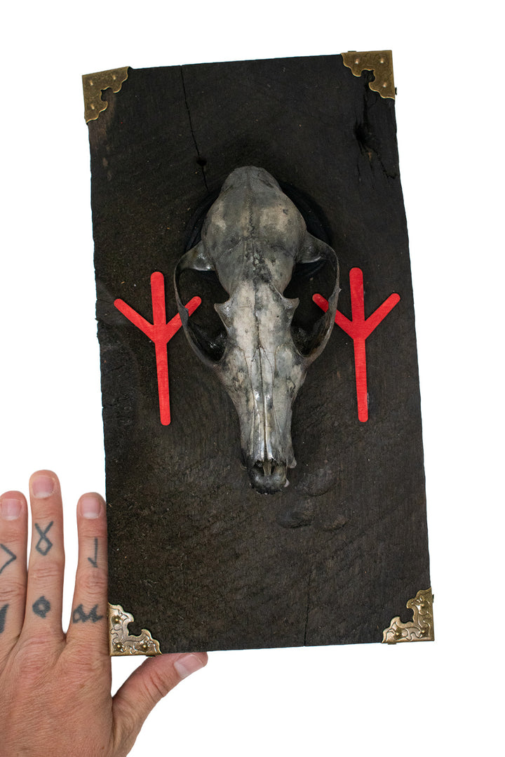 Algiz Rune Fox Skull Barn Wood Wall Hanging